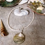 Wire Wrapped Sea Shell Necklace by Elizabeth