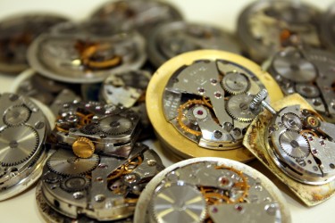 stock_watch_backs