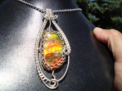 ammolite-collection-21542993