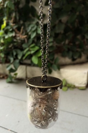 LJuneau: Hidden Gems Necklaces 2