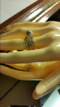 LPawlowski: The Little Ring That Didn't Want to Go! 1