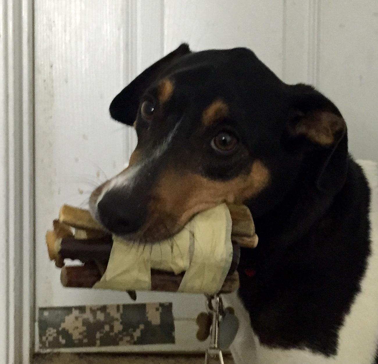 The Dog Chewed up My Reading Glasses, So I Made Earrings Jewelry